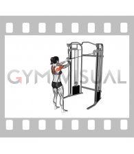 Cable Standing Cross over High Reverse Fly (female)