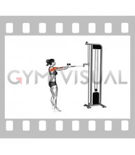 Cable Standing Supinated Face Pull (with rope) (female)