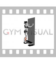 Single Leg Calf Raise Off Step (female)