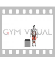 Lateral Box Jump (male)