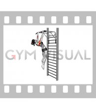 Sternum Pull-up (Gironda) (female)