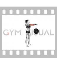 Wrist Roller (female)