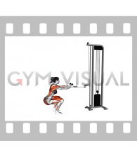 Cable Squat Row (with rope attachment) (female)