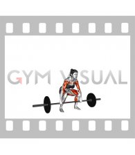 Barbell Full Clean (female)