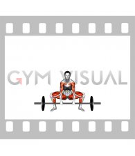 Sumo Deadlift High Pull (female)