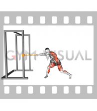 Resistance Band Rotary Pull (male)