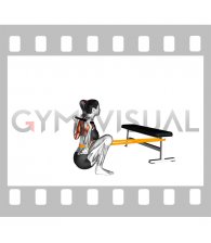 Banded Sots Press (female)