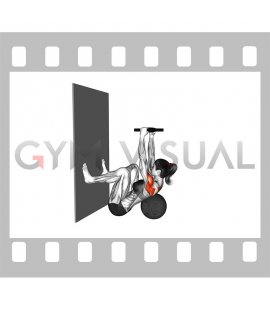 Weighted Plate Thoracic Opener on Medicine Ball (female)