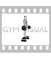 Barbell Jefferson Curl (male)