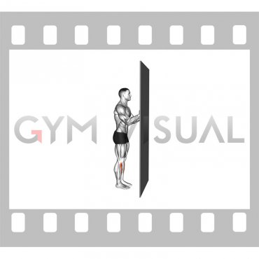 Standing Floor Tibialis Raise Wall Supported (male)