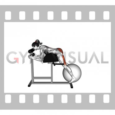 Weighted Ball Reverse Hyperextension on GHD (female)