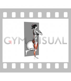 Bodyweight Single Leg Deadlift against Ball (female)