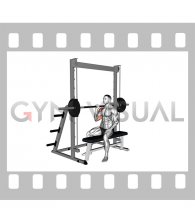 Smith Seated Single Arm Neutral Grip Shoulders Press (male)