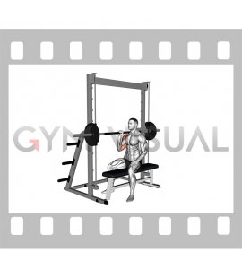 Smith Seated Single Arm Neutral Grip Shoulders Press (male)