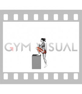 High Box Step-up (female)