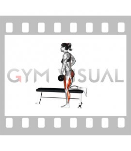 Dumbbell Single Leg Romanian Deadlift on Bench (female)