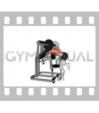 Lever Bent Over Single Arm Lats Focused Row (male)