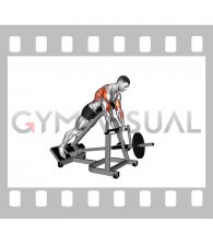 Lever Incline Prone Neutral Grip Row (male)