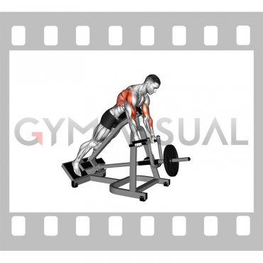 Lever Incline Prone Neutral Grip Row (male)