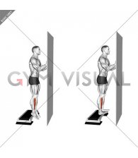 Standing Tibialis Raise Wall Supported (male)