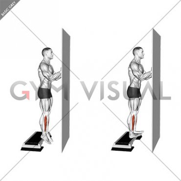 Standing Tibialis Raise Wall Supported (male)