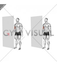 Standing Isometric Biceps Hold