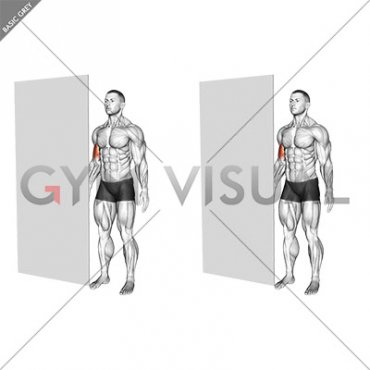 Standing Isometric Biceps Hold