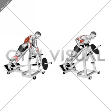 Lever Incline Prone Row (male)