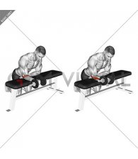 Dumbbell Wrist Rotation