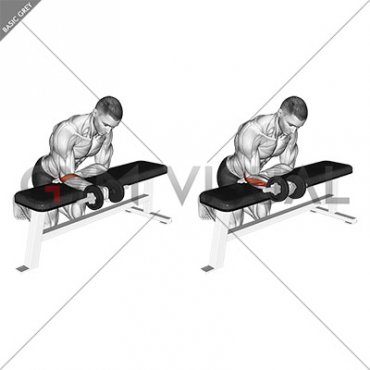 Dumbbell Wrist Rotation