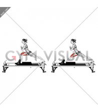 Pilates Machine Russian Split (female)