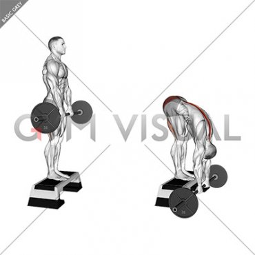 Barbell Jefferson Curl (male)