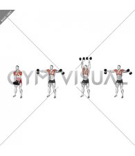 Dumbbell LU Raise (male)