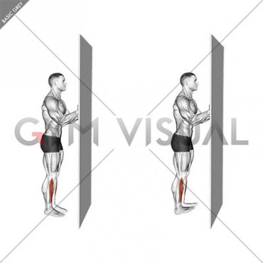 Standing Floor Tibialis Raise Wall Supported (male)