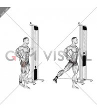 Cable Side Leg Kick from Back