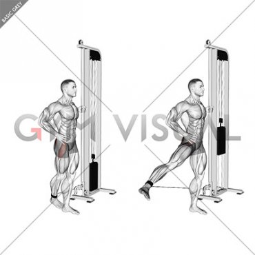 Cable Side Leg Kick from Back