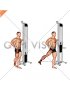 Cable Side Leg Kick from Back
