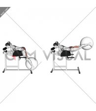 Weighted Ball Reverse Hyperextension on GHD (female)