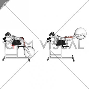 Weighted Ball Reverse Hyperextension on GHD (female)