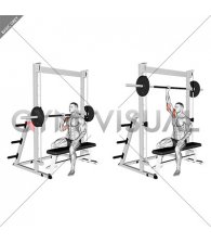 Smith Seated Single Arm Neutral Grip Shoulders Press (male)