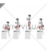 High Box Step-up (female)