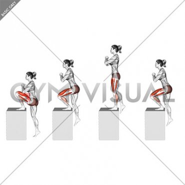 High Box Step-up (female)