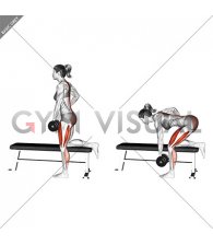 Dumbbell Single Leg Romanian Deadlift on Bench (female)