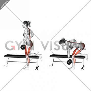 Dumbbell Single Leg Romanian Deadlift on Bench (female)