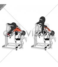 Lever Bent Over Single Arm Lats Focused Row (male)