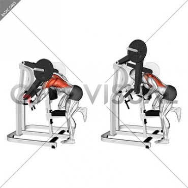 Lever Bent Over Single Arm Lats Focused Row (male)