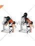Lever Bent Over Single Arm Lats Focused Row (male)