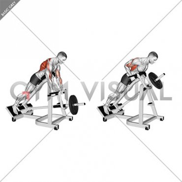 Lever Incline Prone Neutral Grip Row (male)
