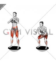 Bosu Ball Squat (female)