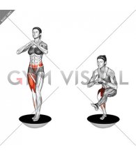 Bosu Ball Single Leg Squat (female)